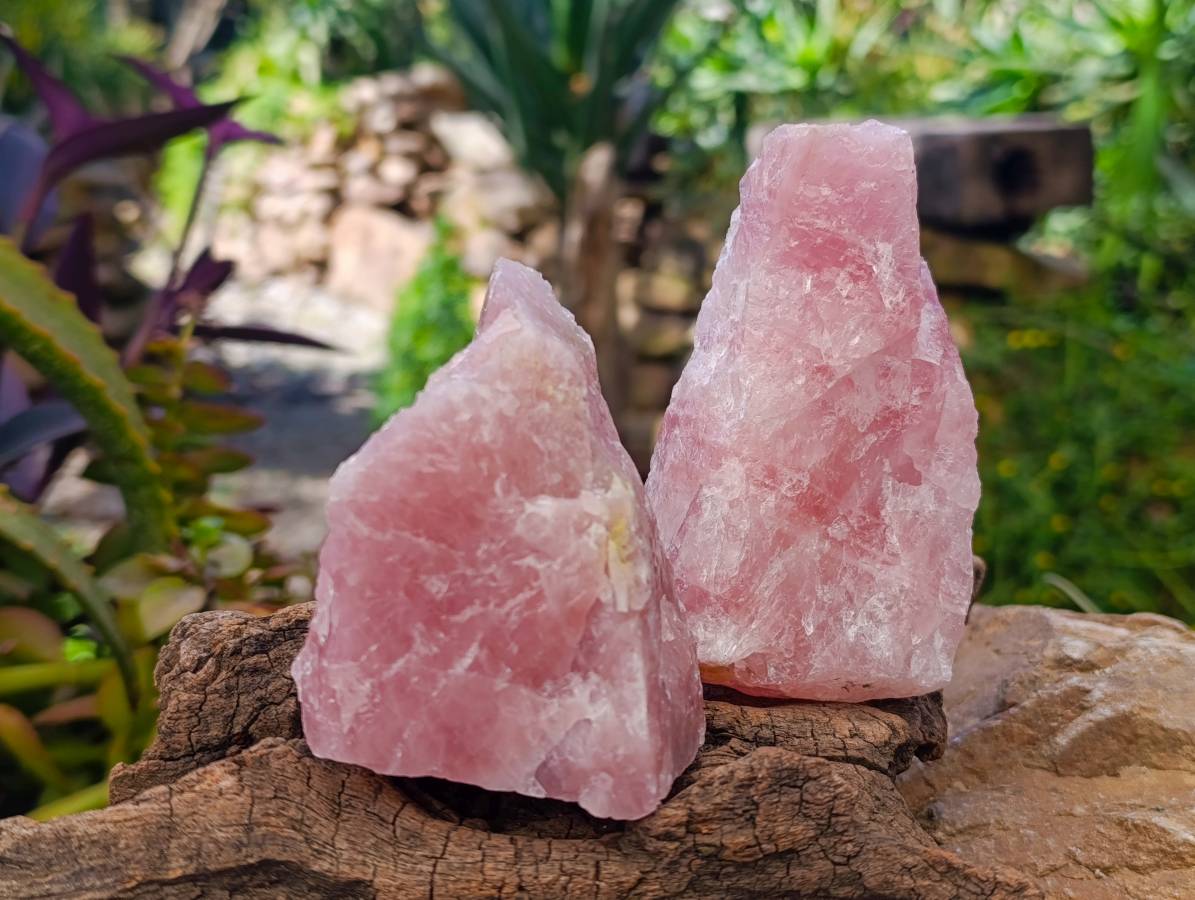 Natural Pink Rose Quartz Cobbed Specimens x 12 From North Cape, South Africa - Toprock Gemstones and Minerals 