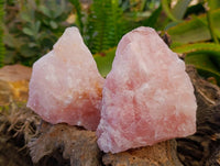 Natural Pink Rose Quartz Cobbed Specimens x 12 From North Cape, South Africa