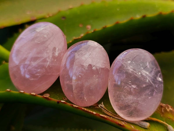 Polished Rose Quartz Palm Stones x 20 From Madagascar