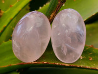 Polished Rose Quartz Palm Stones x 20 From Madagascar