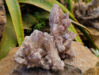 Natural Hematoid Quartz Clusters x 3 From Zimbabwe