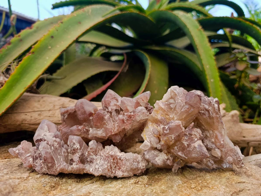 Natural Hematoid Quartz Clusters x 3 From Zimbabwe - Toprock Gemstones and Minerals 