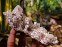 Natural Hematoid Quartz Clusters x 3 From Zimbabwe