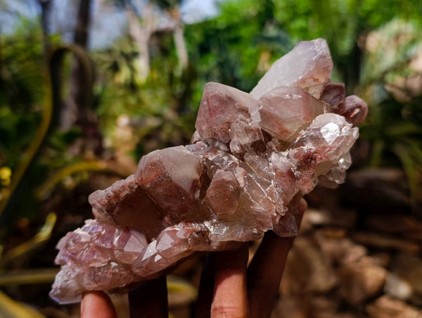 Natural Hematoid Quartz Clusters x 3 From Zimbabwe