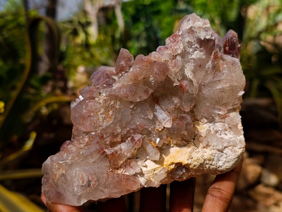 Natural Hematoid Quartz Clusters x 3 From Zimbabwe - Toprock Gemstones and Minerals 
