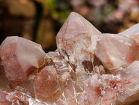 Natural Hematoid Quartz Clusters x 3 From Zimbabwe