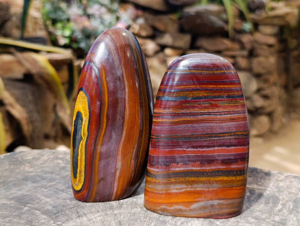 Polished Banded Tiger Iron Standing Free Forms x 2 From South Africa