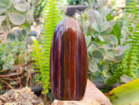 Polished Banded Tiger Iron Standing Free Forms x 2 From South Africa