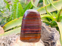 Polished Banded Tiger Iron Standing Free Forms x 2 From South Africa