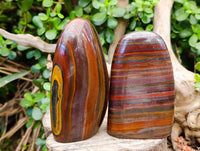 Polished Banded Tiger Iron Standing Free Forms x 2 From South Africa