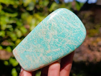 Polished Amazonite Free Forms x 6 From Madagascar