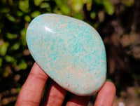 Polished Amazonite Free Forms x 6 From Madagascar