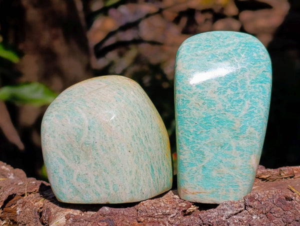 Polished Amazonite Free Forms x 6 From Madagascar
