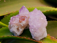 Natural Amethyst Spirit Quartz Clusters x 12 From South Africa