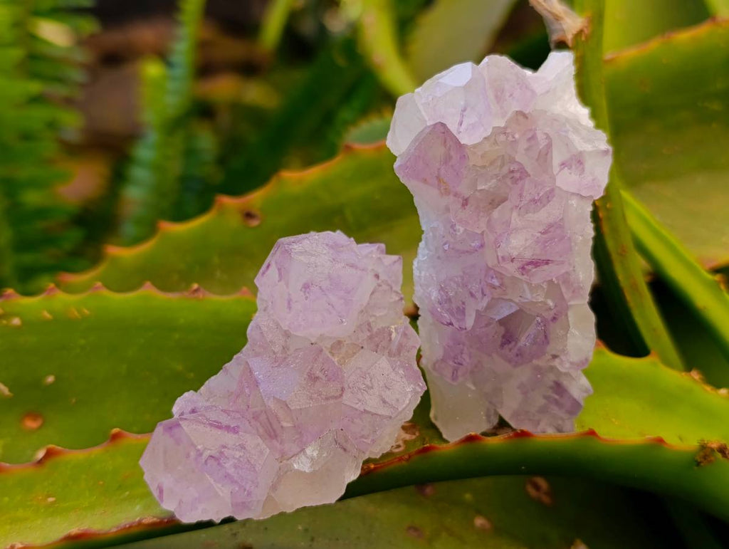 Natural Amethyst Spirit Quartz Clusters x 12 From South Africa - Toprock Gemstones and Minerals 