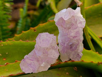 Natural Amethyst Spirit Quartz Clusters x 12 From South Africa