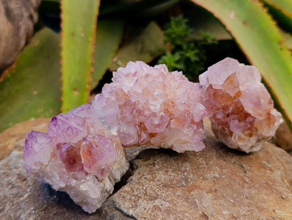 Natural Amethyst Spirit Quartz Clusters x 12 From South Africa - Toprock Gemstones and Minerals 