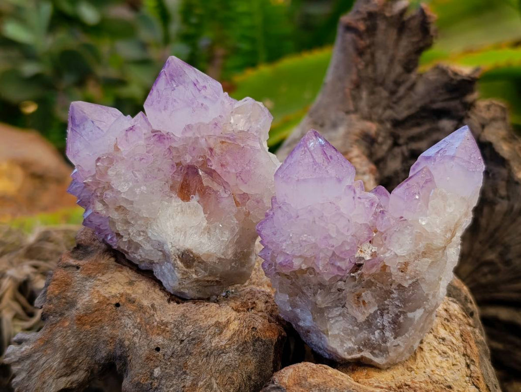 Natural Amethyst Spirit Quartz Clusters x 12 From South Africa - Toprock Gemstones and Minerals 