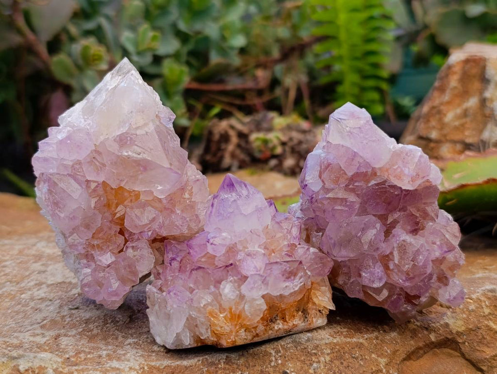 Natural Amethyst Spirit Quartz Clusters x 12 From South Africa - Toprock Gemstones and Minerals 