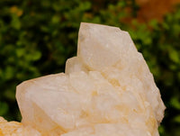 Natural White Quartz Clusters x 2 From Madagascar