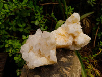 Natural White Quartz Clusters x 2 From Madagascar