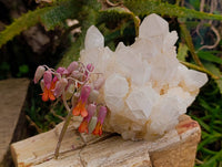 Natural White Quartz Clusters x 2 From Madagascar