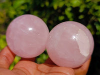 Polished Rose Quartz Spheres x 12 From Madagascar
