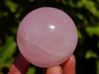 Polished Rose Quartz Spheres x 12 From Madagascar