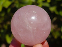 Polished Rose Quartz Spheres x 12 From Madagascar