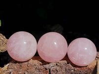 Polished Rose Quartz Spheres x 12 From Madagascar