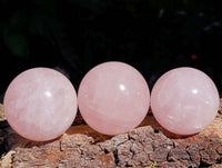 Polished Rose Quartz Spheres x 12 From Madagascar