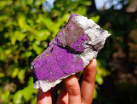 Natural Metallic Purpurite Specimens x 6 From Erongo, Namibia