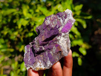 Natural Metallic Purpurite Specimens x 6 From Erongo, Namibia