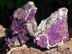 Natural Metallic Purpurite Specimens x 6 From Erongo, Namibia - Toprock Gemstones and Minerals 