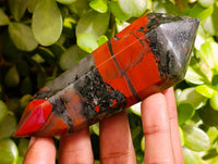 Polished Double Terminated Bloodstone Points x 12 From Swaziland
