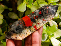 Polished Double Terminated Bloodstone Points x 12 From Swaziland