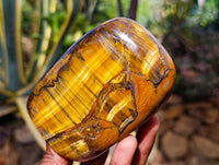 Polished Tigers Eye Standing Free Forms x 3 From South Africa