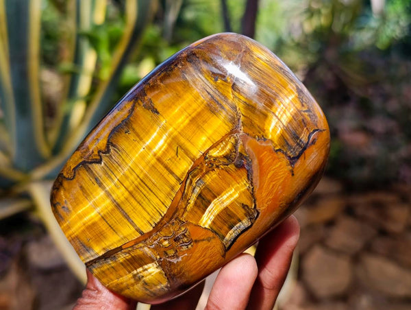 Polished Tigers Eye Standing Free Forms x 3 From South Africa