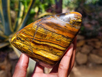 Polished Tigers Eye Standing Free Forms x 3 From South Africa