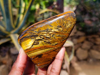 Polished Tigers Eye Standing Free Forms x 3 From South Africa