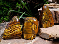 Polished Tigers Eye Standing Free Forms x 3 From South Africa