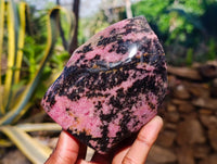 Polished On One Side Rhodonite x 8 From Madagascar