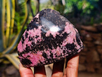 Polished On One Side Rhodonite x 8 From Madagascar