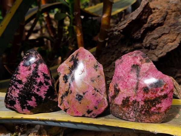 Polished On One Side Rhodonite x 8 From Madagascar