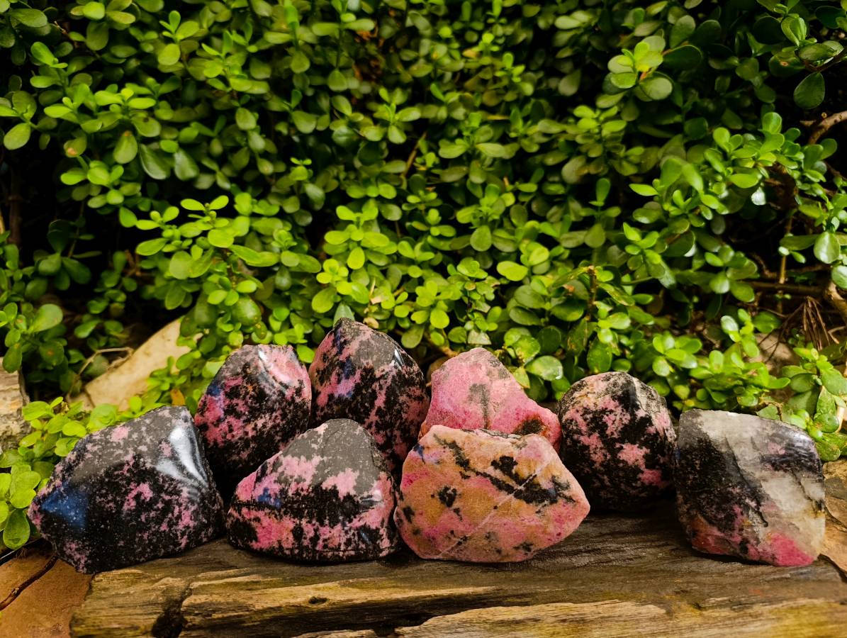 Polished On One Side Rhodonite x 8 From Madagascar - Toprock Gemstones and Minerals 