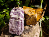 Natural Mix of Retail Items x 12 From Southern Africa