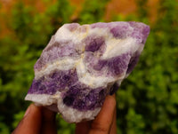 Natural Mix of Retail Items x 12 From Southern Africa