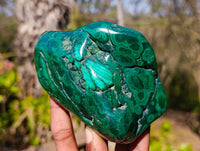 Polished Flower Banded Malachite Free Forms x 3 From Congo