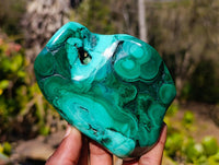Polished Flower Banded Malachite Free Forms x 3 From Congo