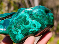 Polished Flower Banded Malachite Free Forms x 3 From Congo